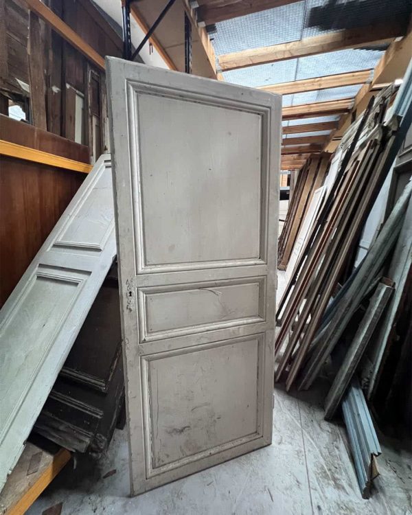 Porte de placard 84x202 cm