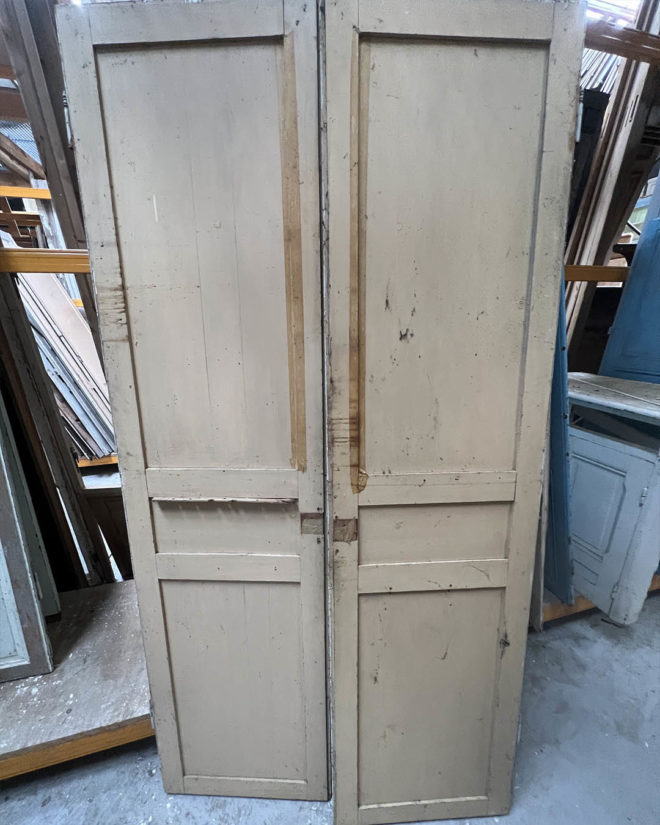 Double porte de placard 120x228 cm