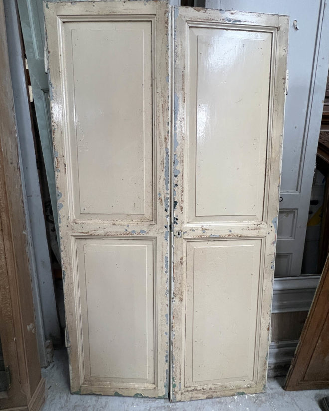 Double porte de placard 116x206 cm