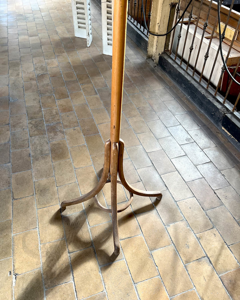 Parrot coat rack